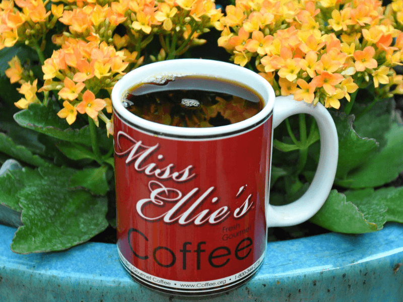 Miss Ellie's New Orleans Blend